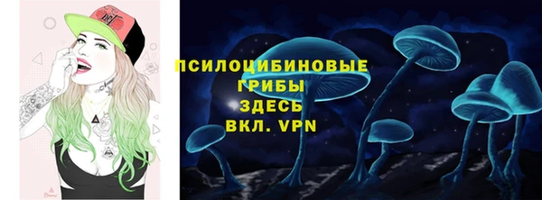 гашик Медвежьегорск