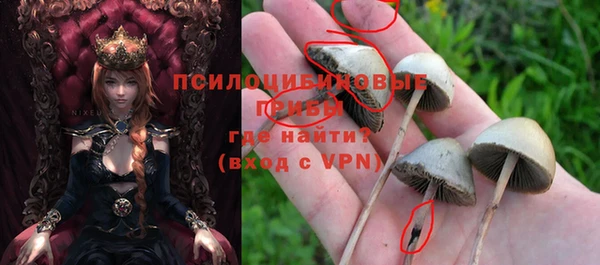 гашик Медвежьегорск